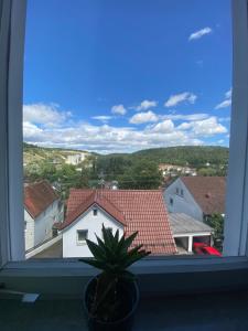 a window with a view of a house and a plant at Bluestone Appartments 25qm free and near parking in Blaustein