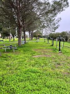 San Donato di LecceにあるB&B Tenuta la Cornulaの公園内の木々やテーブルのある芝生