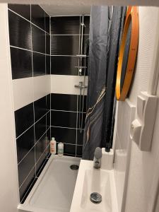 uma pequena casa de banho com um chuveiro e um lavatório. em Le bleu velours em Bourges