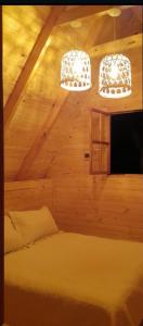 um quarto com duas luzes e uma cama em Del monte Dormis em Dos de Mayo