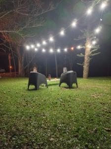 two benches in a field at night with lights at Del monte Dormis in Dos de Mayo