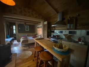 eine Küche und ein Wohnzimmer mit einer Arbeitsplatte in einem Zimmer in der Unterkunft La Casita del Bosque in Castro + 38 Fotos