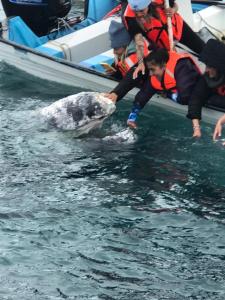 un grupo de personas en un barco con un delfín en el agua en Hotel Vista Mag-Bay, en San Carlos