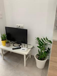 a computer monitor sitting on a white desk with plants at Cosy Studio for couples 2 min from Mades Beach in Lygaria