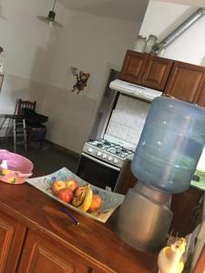 a kitchen counter with a blender and a bowl of fruit at Residencia La Isabel in San Luis