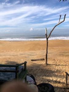 a tree sitting on a beach with the ocean at Ceylon Beach Home in Galle