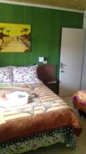 a bedroom with a bed with a green wall at Pousada Pica Pau in Urubici