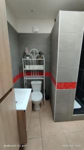 uma pequena casa de banho com WC e lavatório em Central and Quiet House in Charleroi em Charleroi