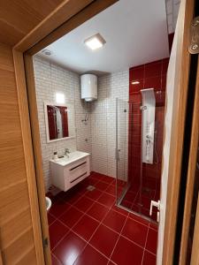 a bathroom with a shower and a sink and red tiles at Zvezda 2 Zlatar in Nova Varoš