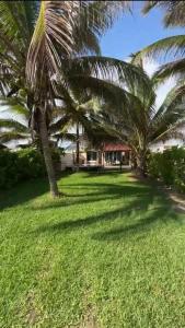 a yard with two palm trees and a house at Casa Mana: Beachfront Home w/pool on Playa Blanca in Zihuatanejo