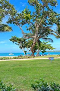a park with a tree and the ocean in the background at Fortunity Beach Tower-2 BDR with pool view in San Felipe de Puerto Plata