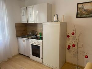 a small kitchen with a refrigerator and a sink at Apartman B&B in Pale