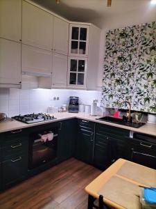a kitchen with green cabinets and a stove top oven at Kwatera Paprotka 23 in Warsaw