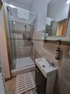 y baño con ducha, aseo y lavamanos. en Apartmani Li, en Livno