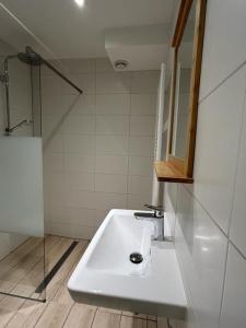 een badkamer met een witte wastafel en een douche bij Appartement De Wadloper, Resort Amelander Kaap! in Hollum