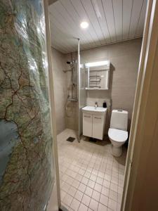 La salle de bains est pourvue de toilettes et d'un lavabo. dans l'établissement Rovio Retrohome, à Jyväskylä