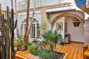 an indoor courtyard with palm trees and plants at Chems Bleu in Essaouira