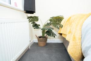 a plant in a basket sitting next to a bed at Modern Retreat Central Location Close to The City in Killingbeck