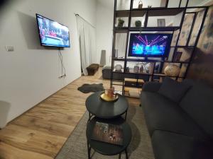 TV a/nebo společenská místnost v ubytování Sleep and drive exclusive
