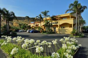 a yellow building with palm trees and white flowers at Ocean Beach Motor Lodge in Gisborne