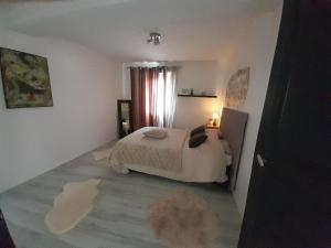 a bedroom with a bed and a rug on the floor at Vacances entre plage et montagnes in Baigts-de-Béarn