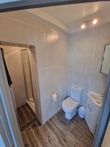 a small bathroom with a toilet and a sink at Seabreeze The Annexe in Blackpool