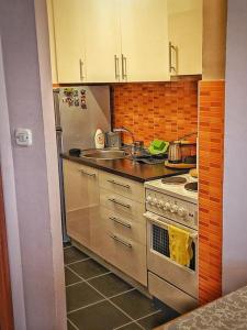 a kitchen with a stove and a sink at Studio apartment K4 in Skopje