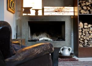 a living room with a fireplace with a couch and a vase at B&B Design in Bologna