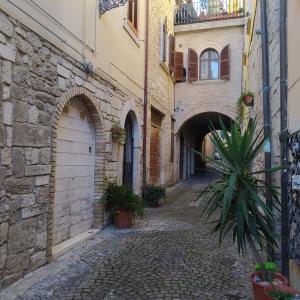 an alley in an old stone building with a plant at Rua dell'arco n.11 in Ascoli Piceno