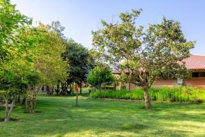 un patio con árboles frente a un edificio en Villa Etelvina en Torotoro