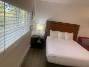 1 dormitorio con 1 cama y 1 lámpara en una mesa en The Spot, en Nanaimo