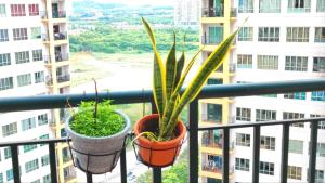 twee potplanten op een balkon van een gebouw bij YOLO Budget CONDO KL NETFLIX WIFI in Kuala Lumpur