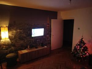TV a/nebo společenská místnost v ubytování Apartman Petra