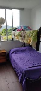 Afbeelding uit fotogalerij van Apartamento Flandes in Flandes