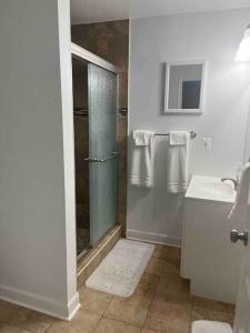 a bathroom with a shower and a sink at SUITE B - Private Cozy, Spacious Suite with Private Bathroom in Bowie