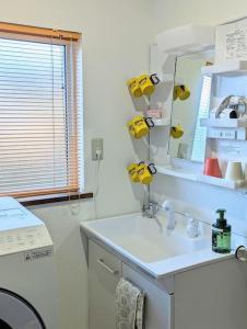uma casa de banho com um lavatório e um espelho em 1棟貸 白老 登別 癒やしの宿 源泉掛け流し温泉 hokkaido noboribetsu shiraoi em Shikyū