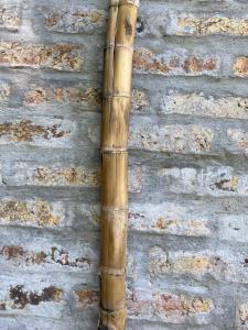 a bamboo stick on a brick wall at Costa Villa in Atlántida