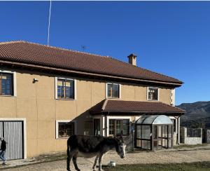 Byggingin sem hótelið er í