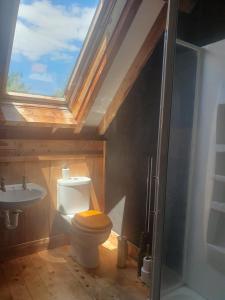 łazienka z toaletą, umywalką i oknem dachowym w obiekcie Streamside Country Manor w mieście Walton