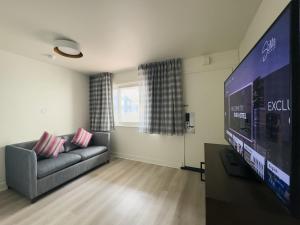 a living room with a couch and a flat screen tv at SoMa House in San Francisco