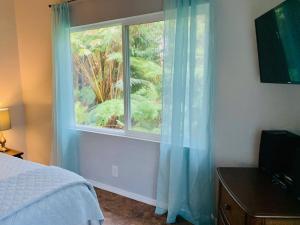 a bedroom with a window with blue curtains at Puolani Iki-Sweet lil cottage near National Park in Volcano