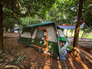 una tienda verde sentada en el suelo bajo los árboles en Dragster Tents, en Kizhake Chālakudi