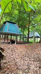 Tenda con telo blu in una foresta di Dragster Tents a Kizhake Chālakudi