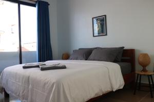 Sorya Guesthouse & Dolphin Tours客房内的一张或多张床位