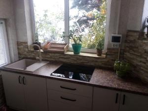 a kitchen counter with a sink and a window at Vyshenka Guest House in Yaremche