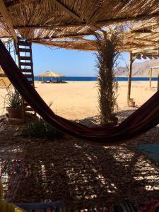 a hammock on a beach with a view of the ocean at Peace land camp in Nuweiba
