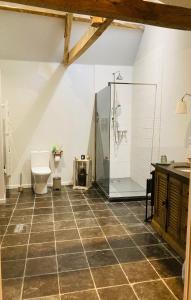 ein großes Bad mit einer Dusche und einem WC in der Unterkunft Gite de la Chapelle option SPA in Verchocq