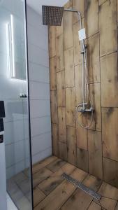 um chuveiro com uma porta de vidro na casa de banho em Водопійна 25 CityRooms em Bila Tserkva
