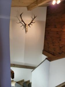 Fotografie z fotogalerie ubytování Ferienhaus Probst v destinaci Wilhelmsthal