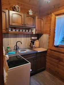 Kuchyň nebo kuchyňský kout v ubytování Ferienhaus Probst
